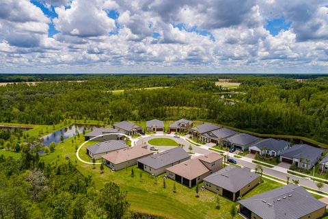 A home in LAND O LAKES