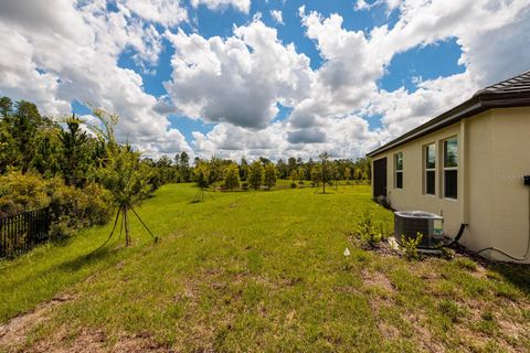 A home in LAND O LAKES