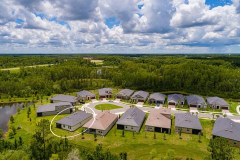 A home in LAND O LAKES