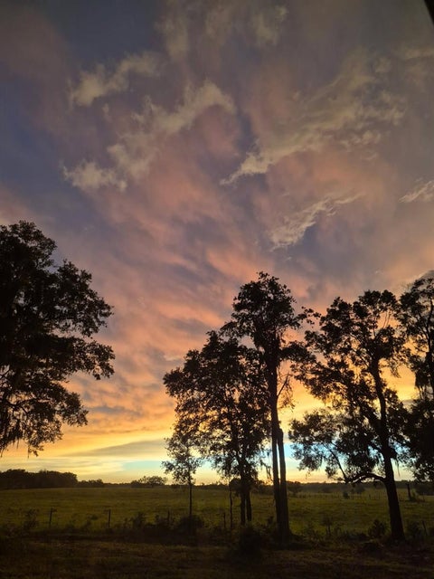 Tiny photo for 10264 S Lecanto Highway, Lecanto, FL 34461 (MLS # TB8537953)