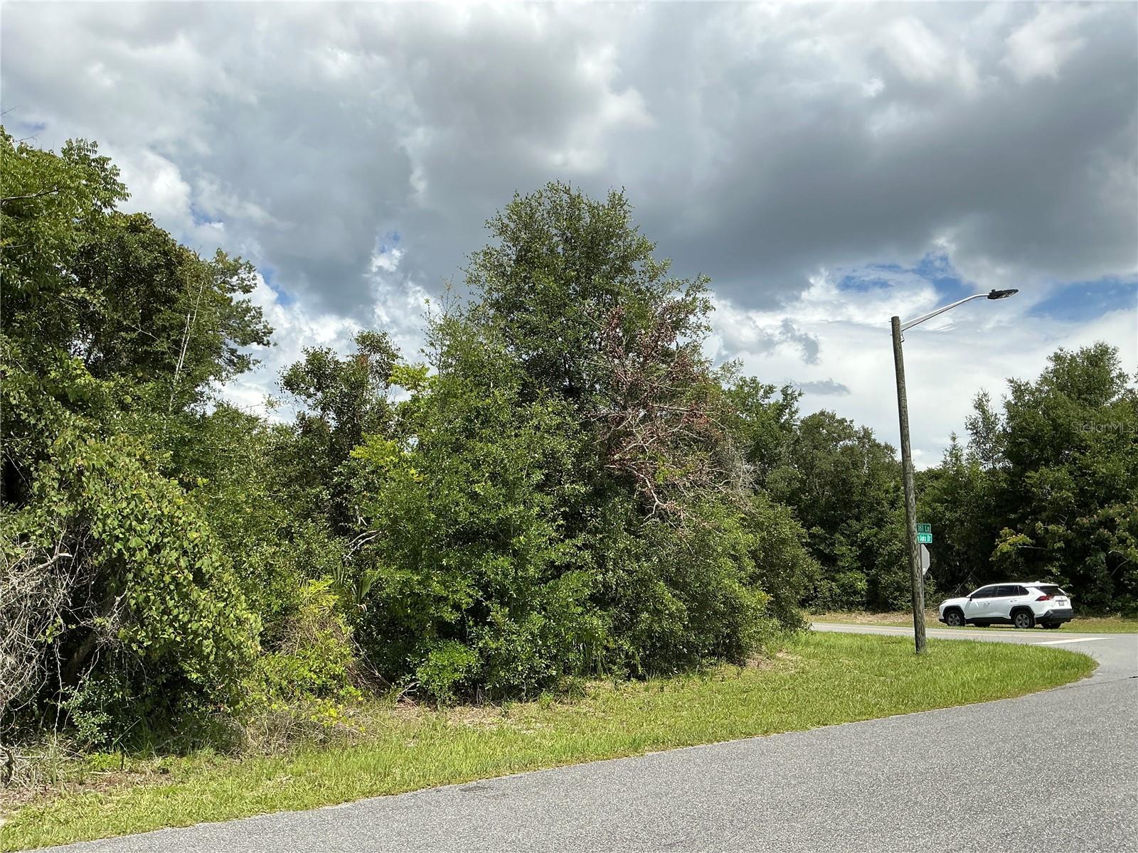 MARION OAKS DRIVE