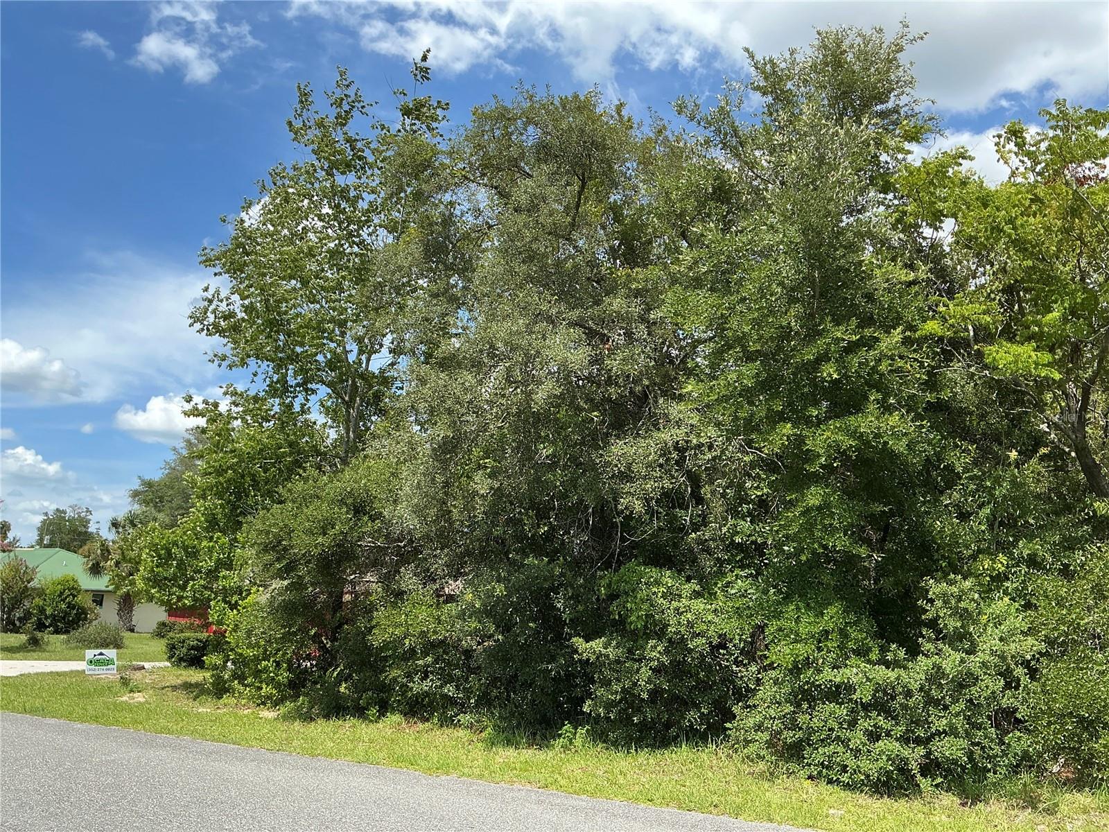 MARION OAKS DRIVE