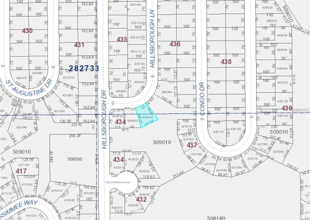 Photo of 1317 Hillsborough Lane, Kissimmee, FL 34759 (MLS # O6390347)