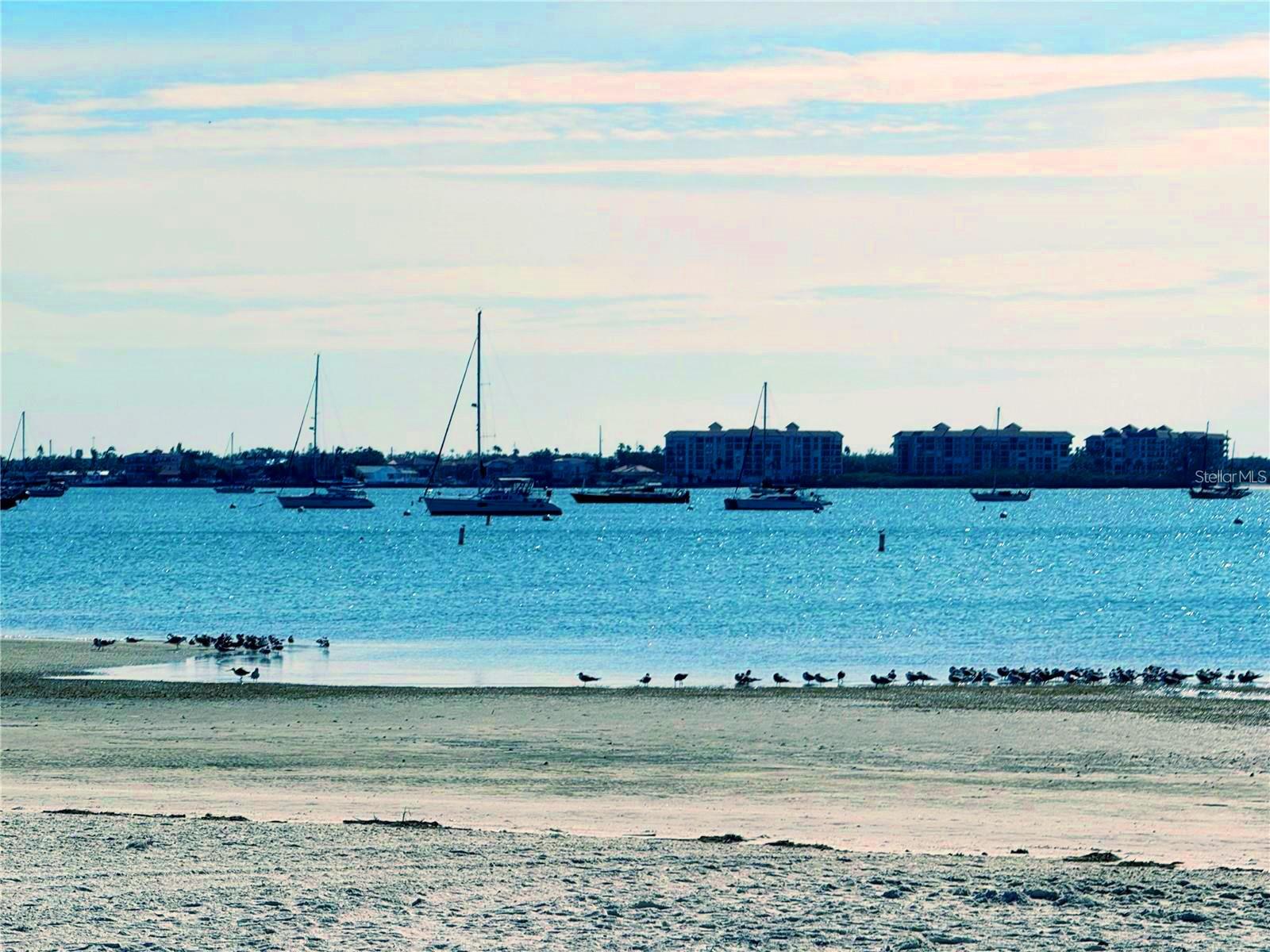 TOWN SHORES OF GULFPORT - Residential