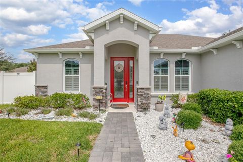 413 LAST TREE DRIVE DELAND FL 32720