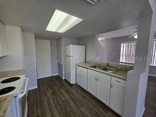 103 COCONUT PALM WAY