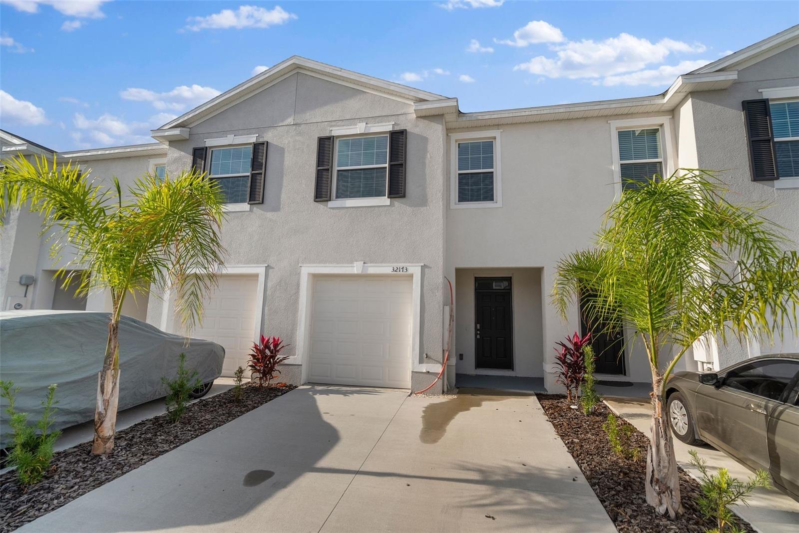 32173 TURTLE GRACE LOOP