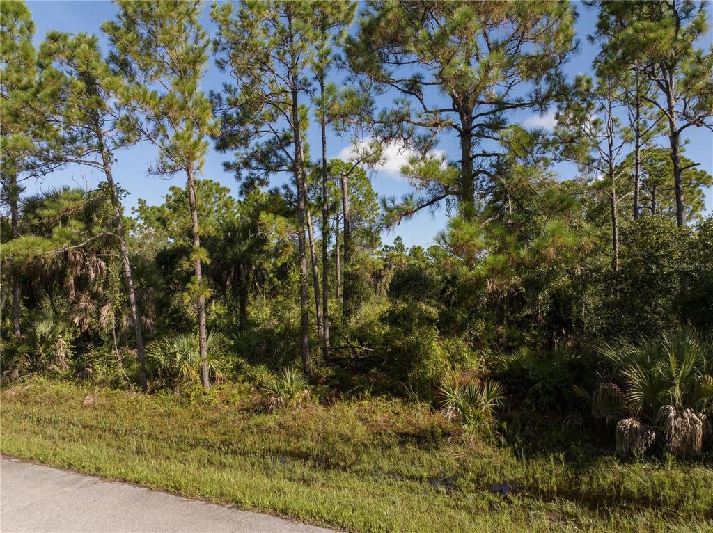 Photo of 14142 Dunlap Avenue, Port Charlotte, FL 33953 (MLS # A4681707)