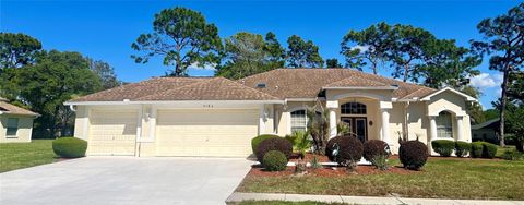 4580 SECRETARIAT RUN SPRING HILL FL 34609