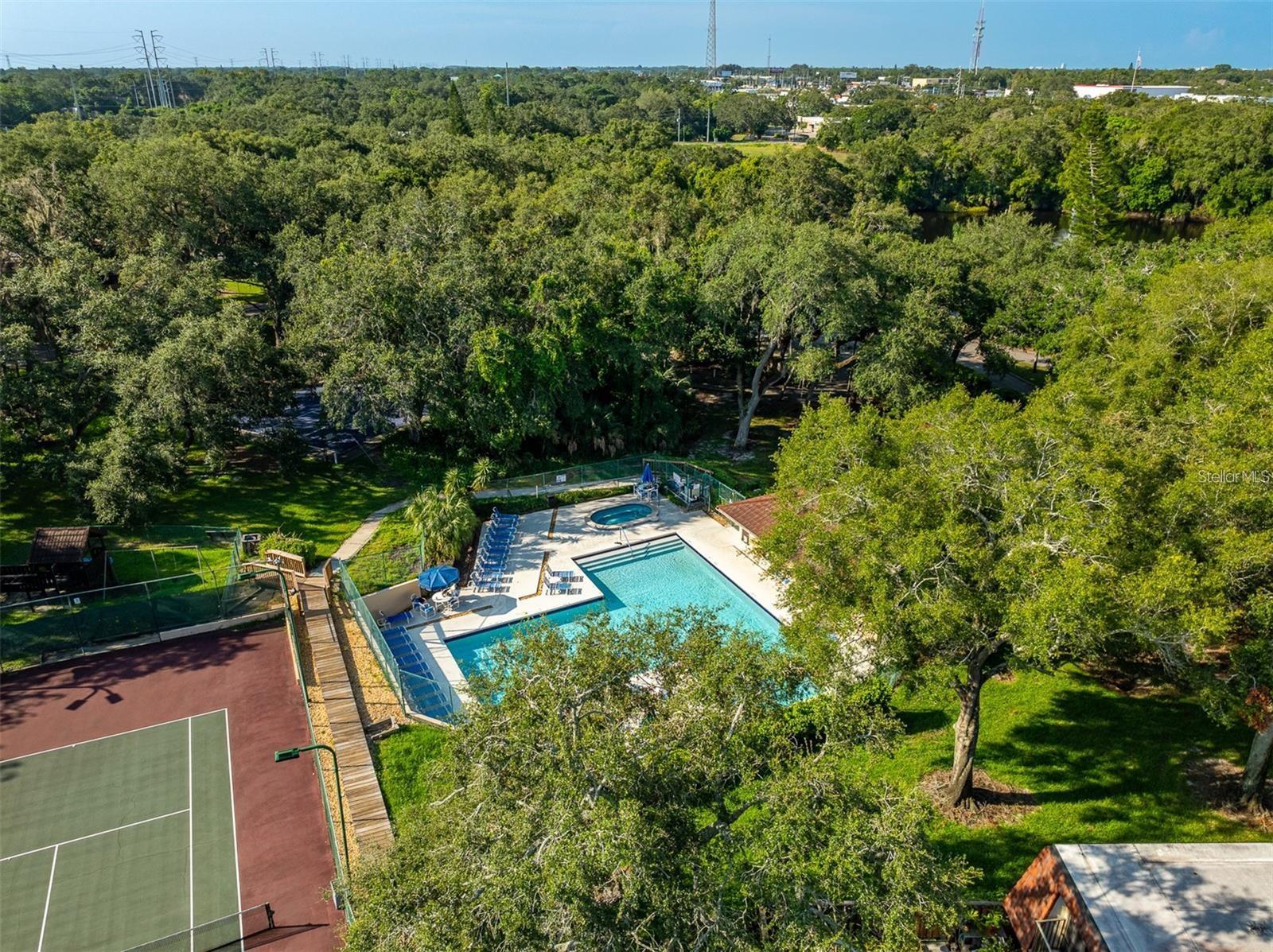 WEDGE WOOD OF PALM HARBOR - Residential