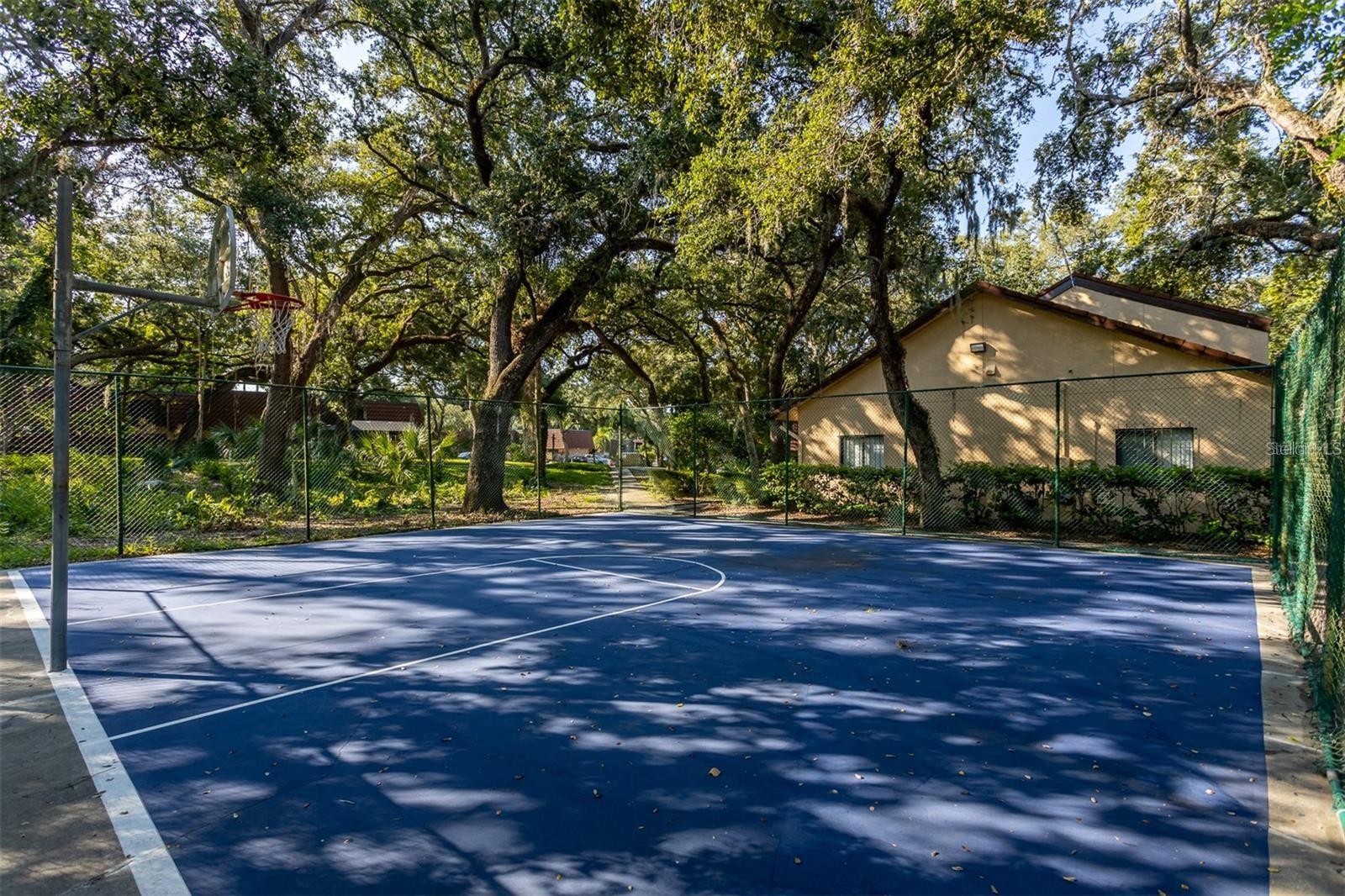WEDGE WOOD OF PALM HARBOR - Residential