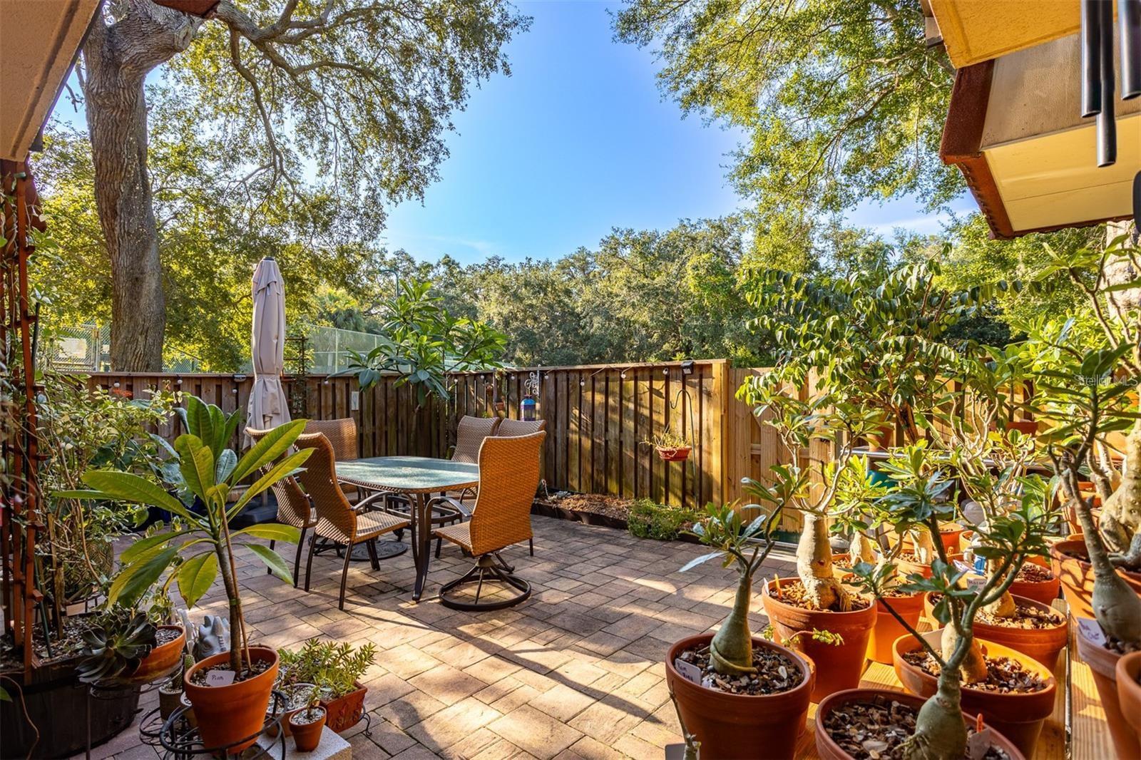 WEDGE WOOD OF PALM HARBOR - Residential