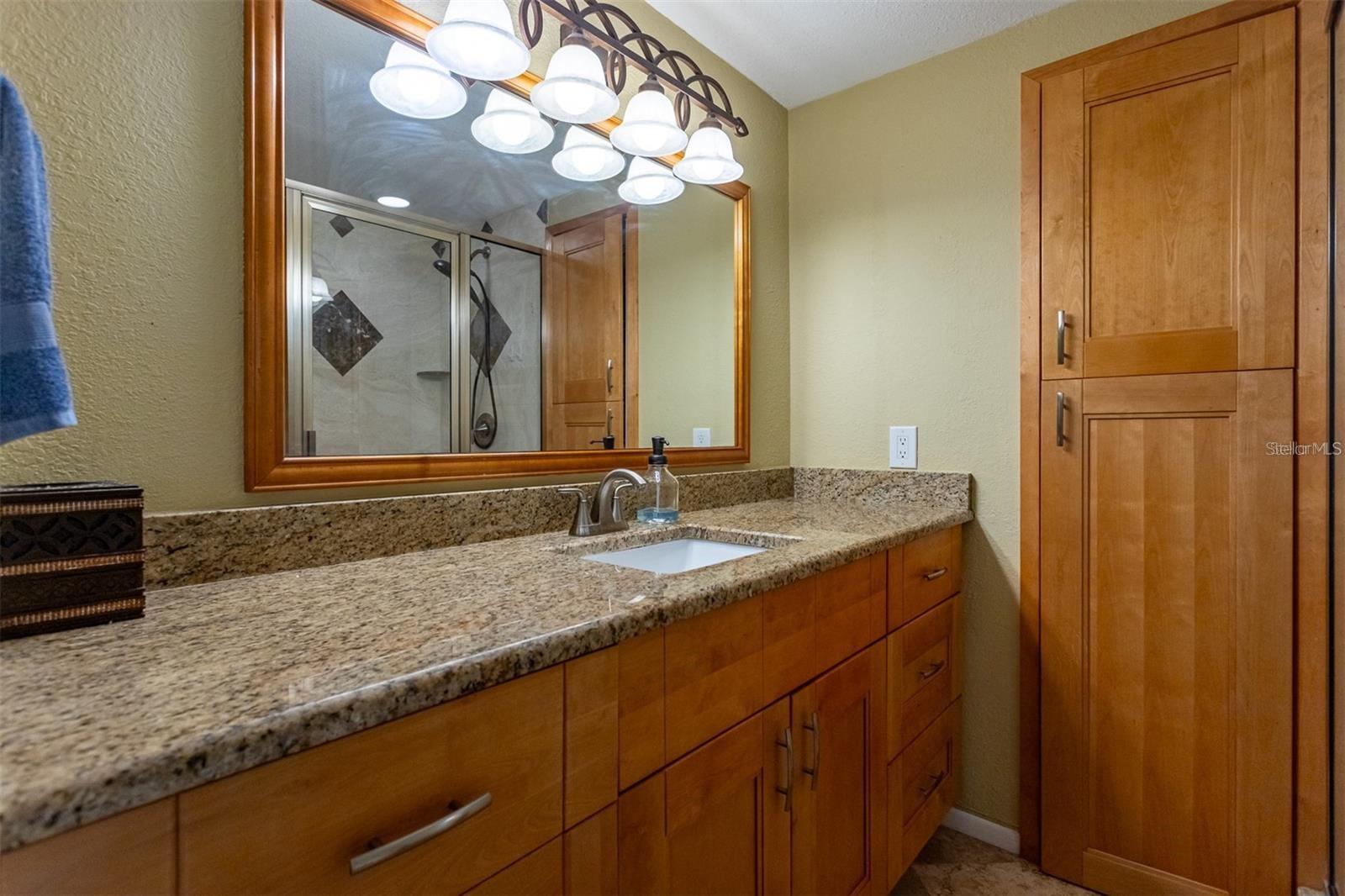 WEDGE WOOD OF PALM HARBOR - Residential