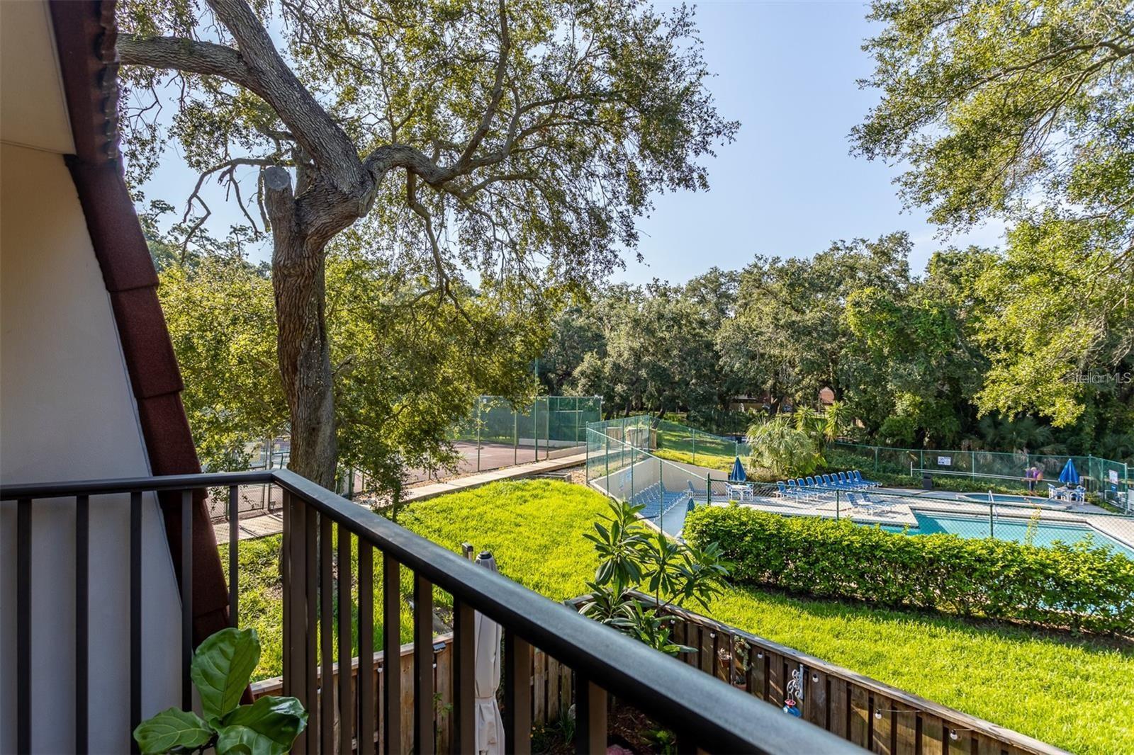 WEDGE WOOD OF PALM HARBOR - Residential