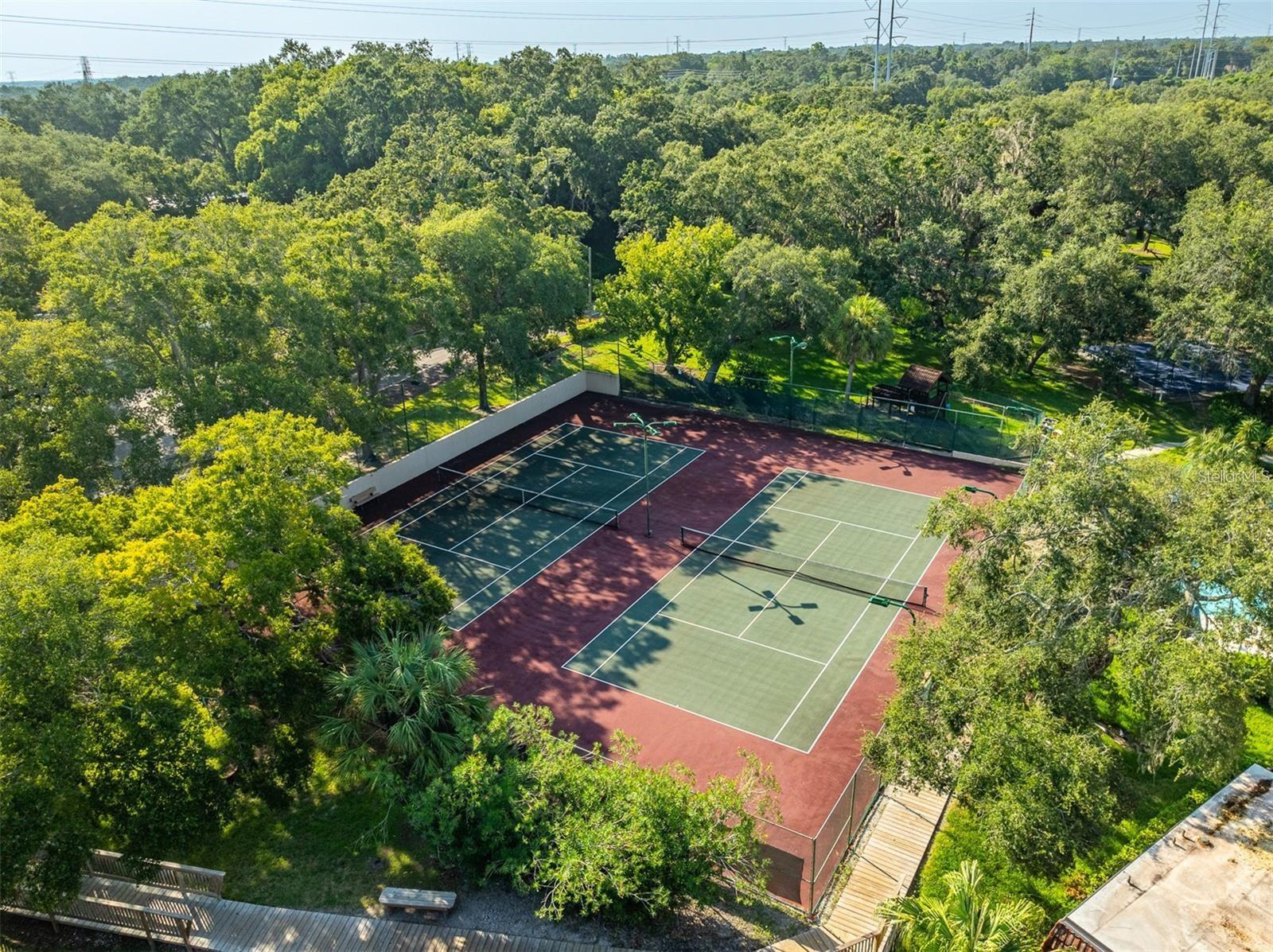 WEDGE WOOD OF PALM HARBOR - Residential
