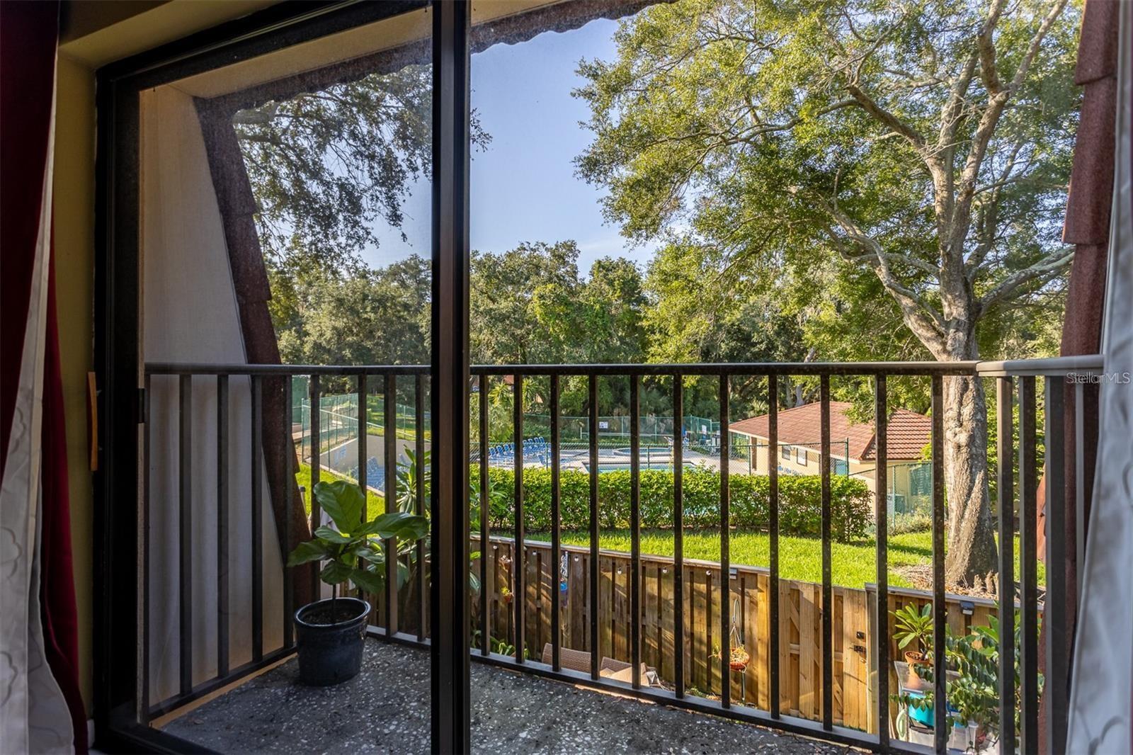 WEDGE WOOD OF PALM HARBOR - Residential