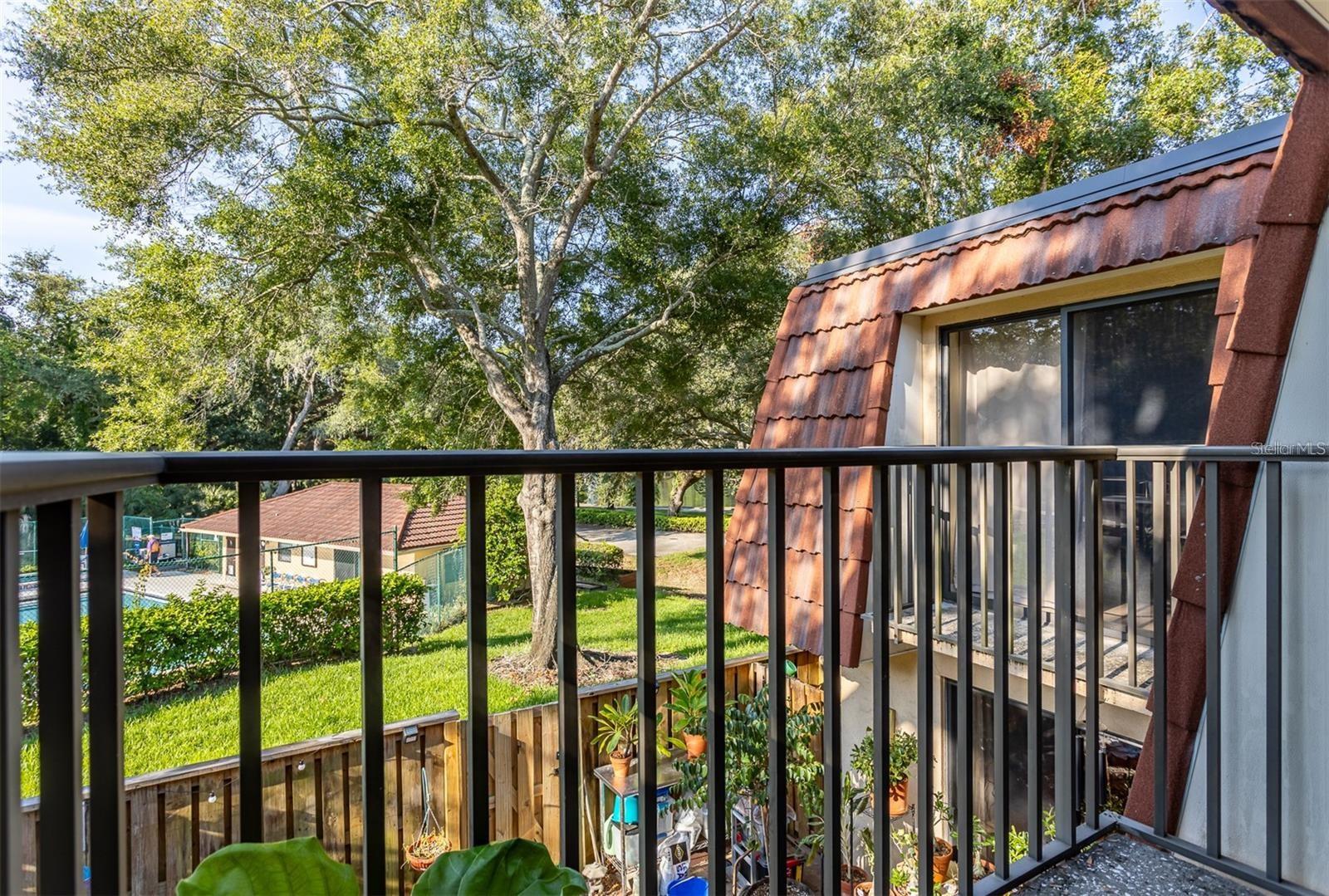 WEDGE WOOD OF PALM HARBOR - Residential