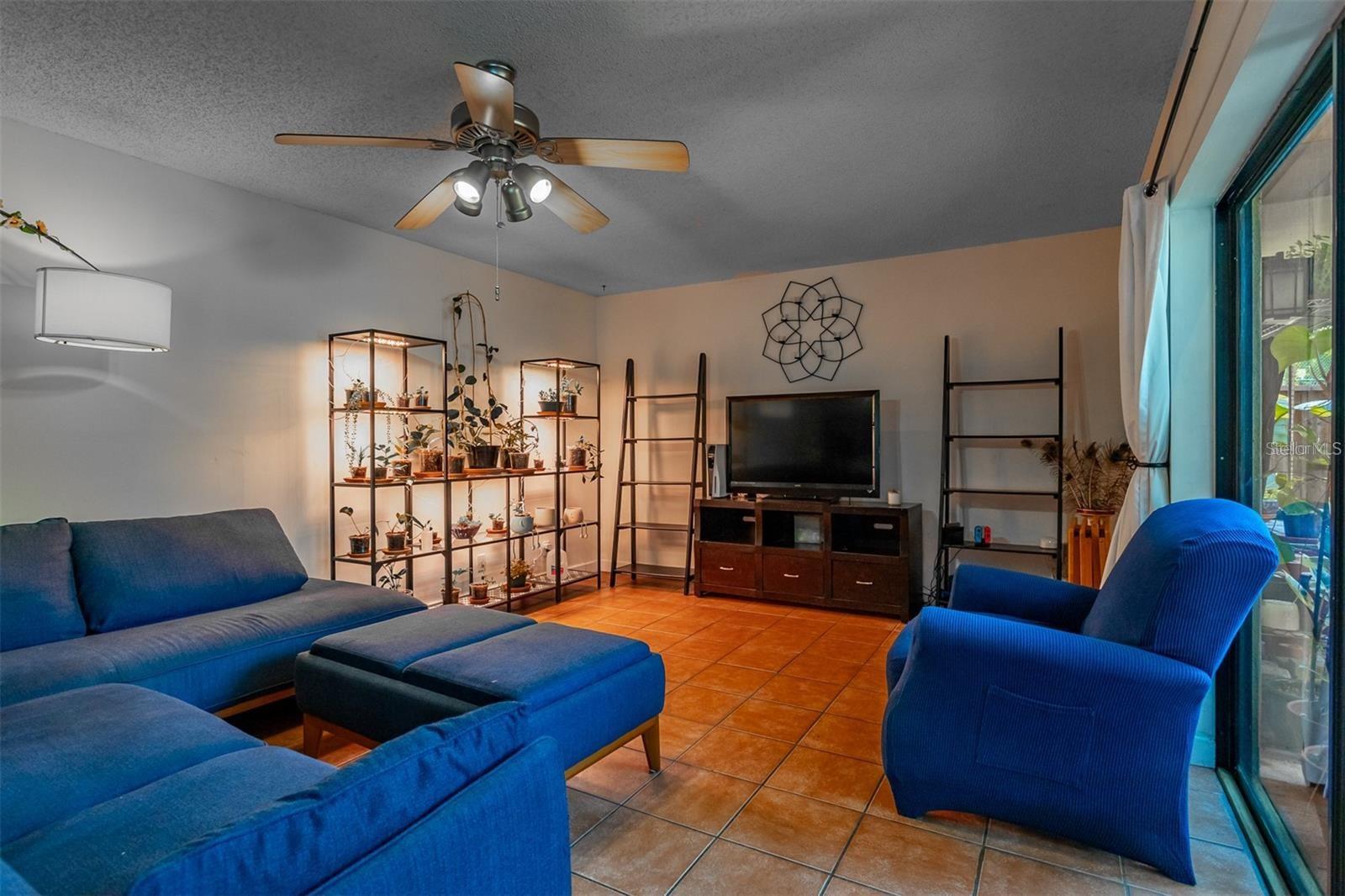 WEDGE WOOD OF PALM HARBOR - Residential