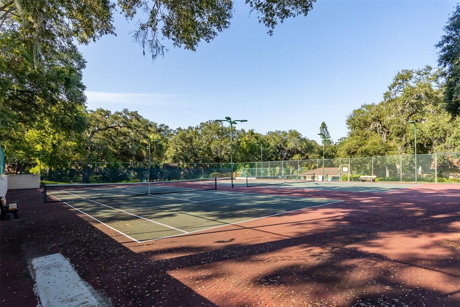 WEDGE WOOD OF PALM HARBOR - Residential