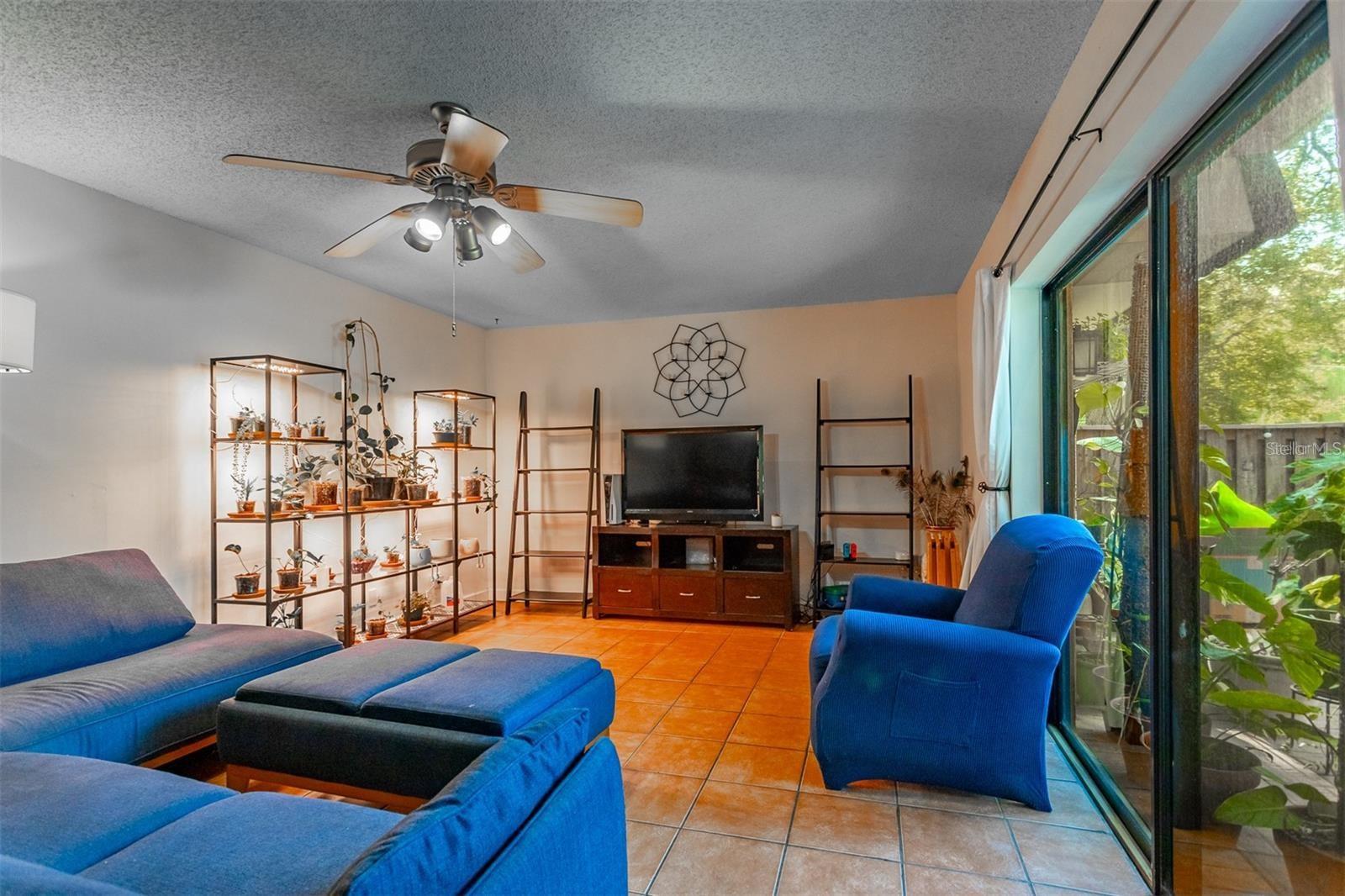 WEDGE WOOD OF PALM HARBOR - Residential