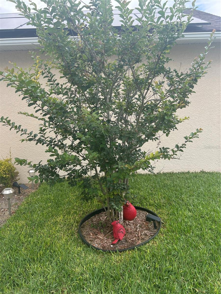 CANOE CREEK LAKES UNIT 10 - Residential