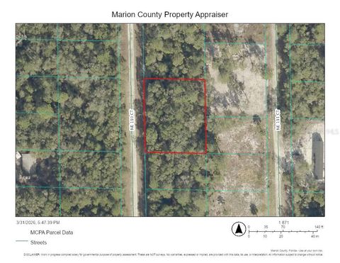 Photo of 00000 NE 110th Court, Fort Mccoy, FL 32134 (MLS # TB8492683)