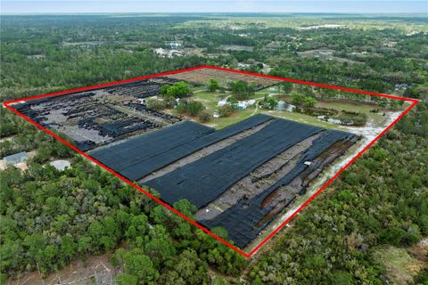 Tiny photo for 40945 Beach Rd, Eustis, FL 32736 (MLS # O6396224)