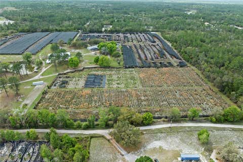 Tiny photo for 40945 Beach Rd, Eustis, FL 32736 (MLS # O6396224)