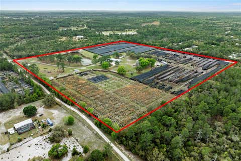 Tiny photo for 40945 Beach Rd, Eustis, FL 32736 (MLS # O6396224)