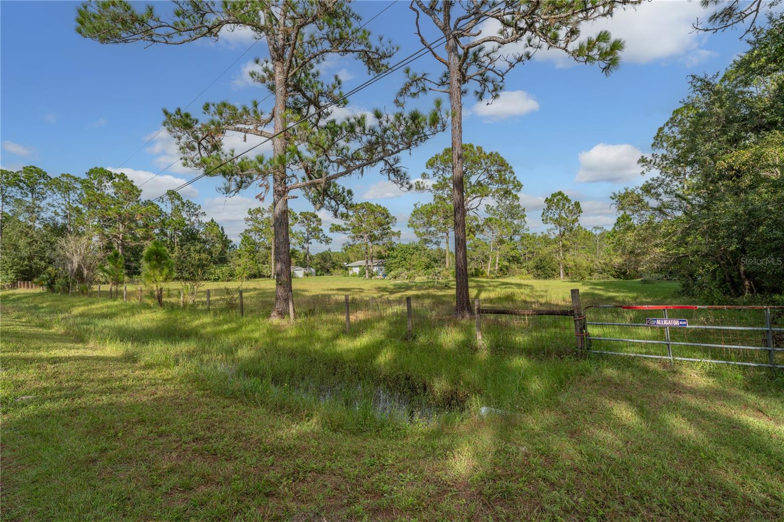 785 HARNEY HEIGHTS ROAD
