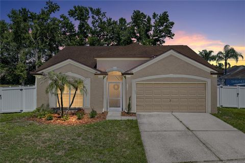 Photo of 4552 Steel Dust Lane, Lutz, FL 33559 (MLS # TB8509951)