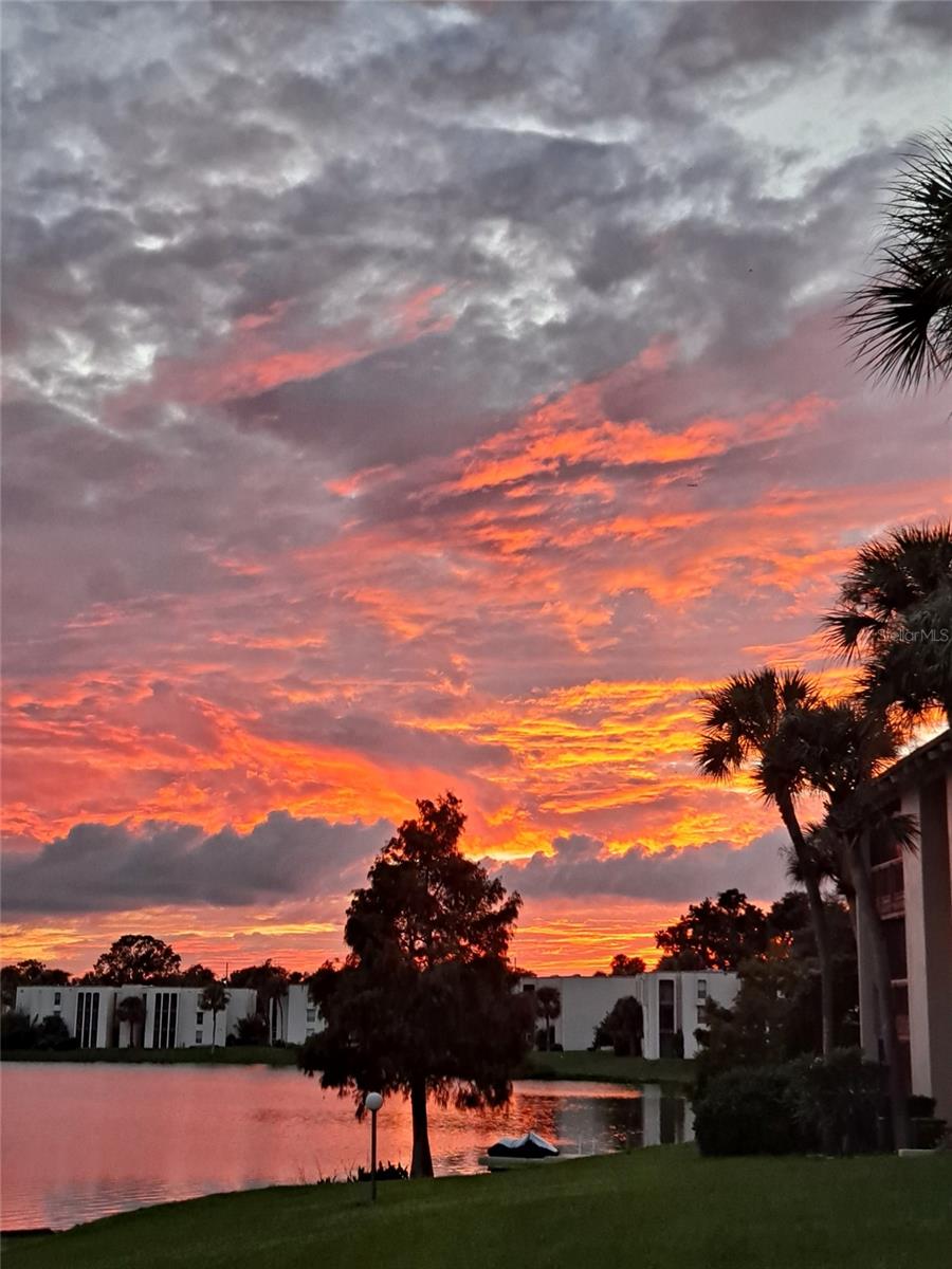 SANDY COVE - Residential