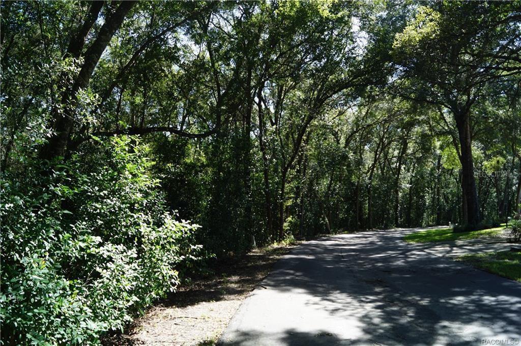 GREAT INVESTMENT OPPORTUNITY IN A SOUGHT-AFTER 55+ COMMUNITY! Unlock the potential of this prime building site in The Glen, a well-established and desirable 55+ community in the heart of Beverly Hills. This offering includes six (6) contiguous platted lots, approved for the construction of three (3) duplex buildings - totaling six (6) units. A rare opportunity to expand this charming villa-style neighborhood nestled in a park-like setting surrounded by mature oaks and pines. Conveniently located near the Beverly Hills Community Center, medical offices, shopping, restaurants, and more, The Glen offers both tranquility and accessibility. It's also adjacent to Central Ridge Community Park, where residents can enjoy tennis courts, shuffleboard, walking trails, picnic areas, and a horseshoe club - adding to the lifestyle appeal. The property is served by public water and sewer, and HOA fees are not charged until development. Once built, the low HOA covers exterior maintenance including lawn care, roof, exterior paint, irrigation, trash, and basic internet/cable - a value-added amenity for future residents. With demand for quality 55+ housing on the rise, this is a rare opportunity to invest in and enhance a well-loved community. Build value, create opportunity, and be part of the future of The Glen.