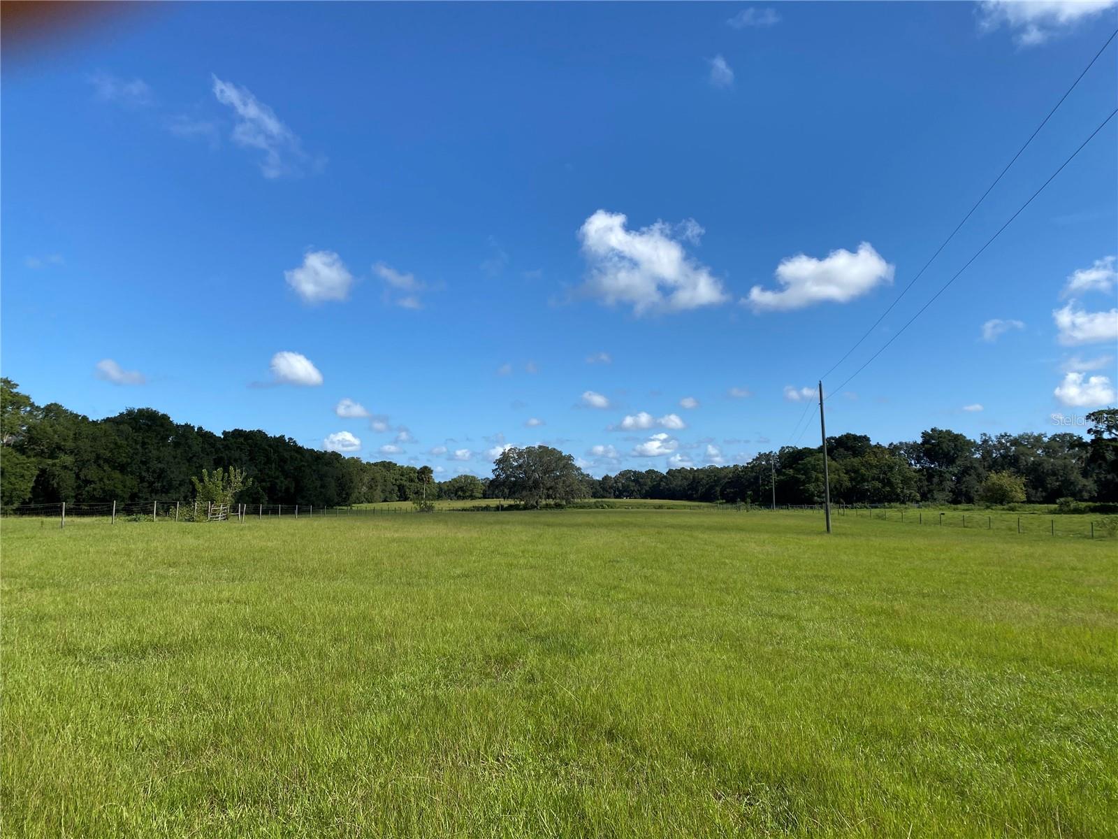 This is a wonderful opportunity to own a farm in Southern Marion County. There is so much to appreciate about this property. There are two parcels totaling 80 acres on this farm. Currently the land is being used for cattle and horses. Could be used for farming or make an amazing home site and working farm. There is a 70 acre main parcel and a 10 acre parcel that is fenced with a mobile home that can be used for farm hands or to live in while building a home. In addition to the mobile home, there is a large barn on the property that can be used for storage and horses. The land is very secluded yet close to everything the Villages, Summerfield, Belleview and Wildwood have to offer. Do not miss the opportunity to own one of the last large parcels available in this area.
