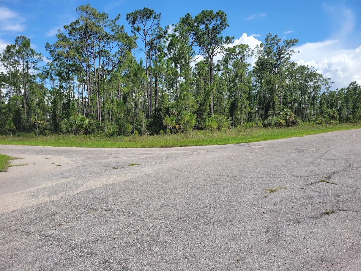 Incredible Investment & Lifestyle Opportunity – Acreage Near the Coast!
Looking for space, freedom, and potential? This beautiful multi-acre property in fast-growing North Port is just 20 minutes from Port Charlotte Beach and offers no HOA, no deed restrictions, and no CDDs—a rare find in today’s market!
Surrounded by nature yet close to everything, this location puts you minutes from shopping, dining, parks, and the new Atlanta Braves Spring Training Stadium. North Port is one of the fastest-growing cities in Florida, and new construction is happening all around—making this the perfect time to invest.
Enjoy the flexibility to build your dream home, create a private retreat, or add to your investment portfolio. Great option for self-directed IRAs, 401Ks, or future development. Multiple beaches are within a 35-minute drive, and local builder info is available upon request.
Don’t miss your chance to secure land in a thriving area with so much upside!