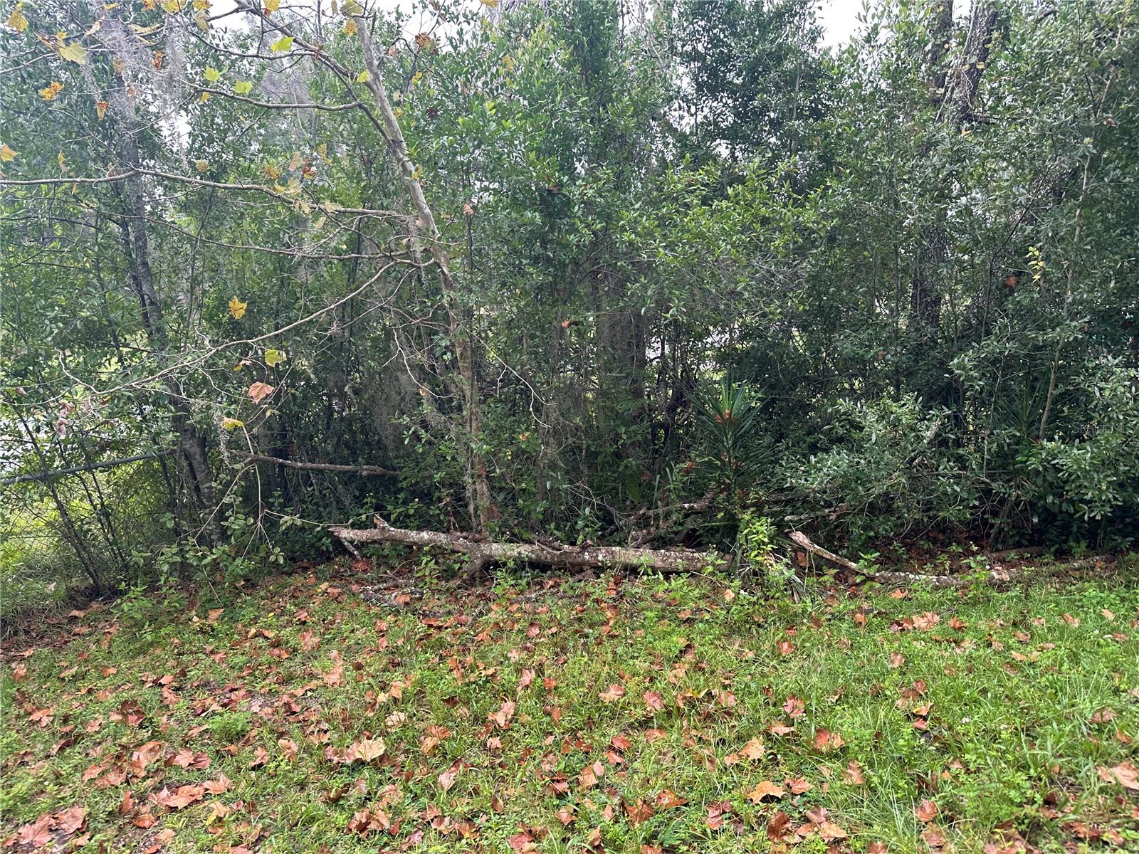 INVERNESS ACRES UNIT 01 AKA INVERNESS VILLAGE - Residential Lease