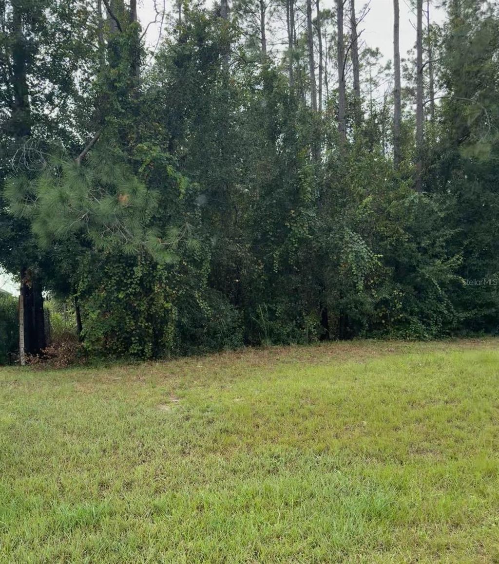 Photo of Lake Smith Road, Umatilla, FL 32784 (MLS # S5139359)