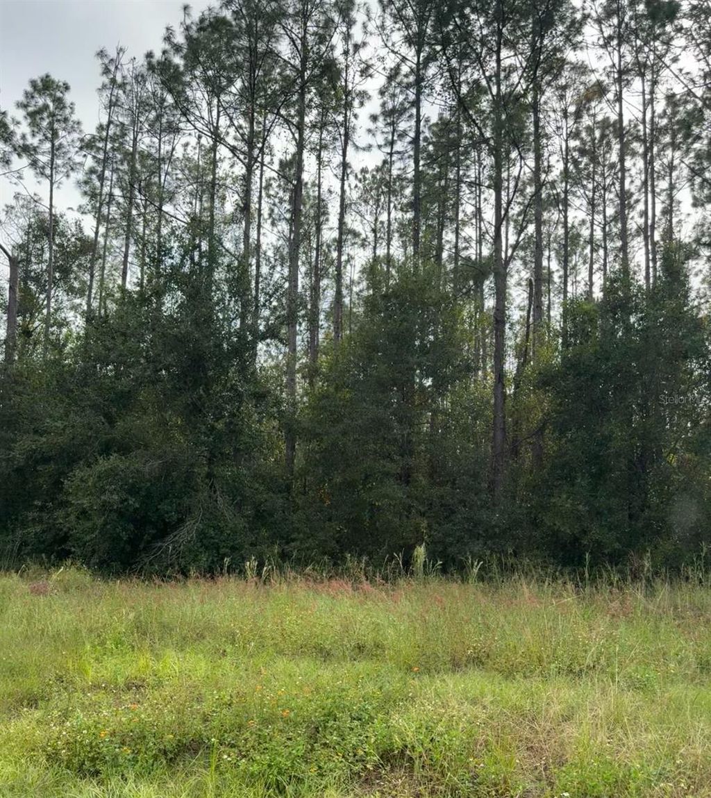 Photo of Lake Smith Road, Umatilla, FL 32784 (MLS # S5139359)
