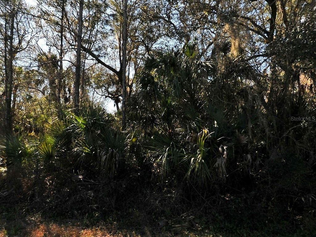Photo of Gilroy, North Port, FL 34288 (MLS # C7527521)