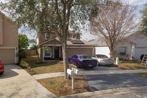 11130 SUMMER STAR DRIVE RIVERVIEW FL 33579