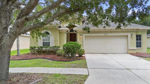 4515 FIELDVIEW CIRCLE WESLEY CHAPEL FL 33545