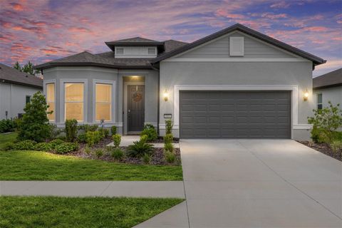 8809 SW 61ST LOOP OCALA FL 34481