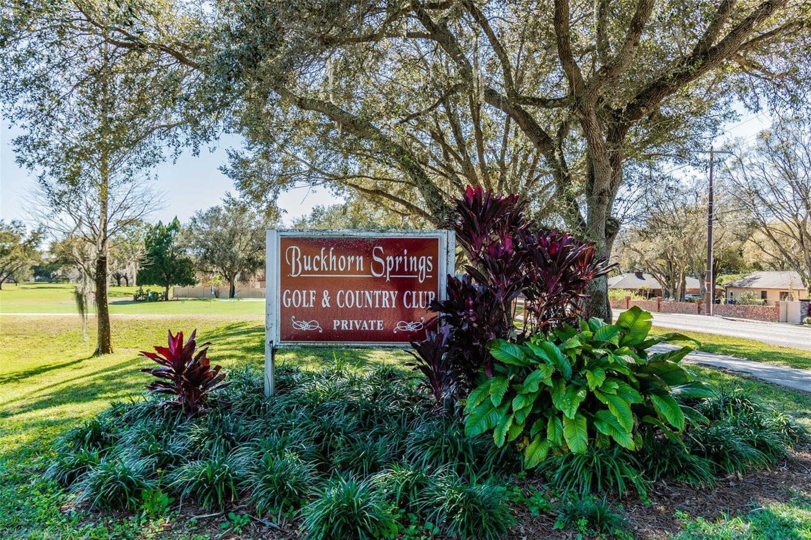 BUCKHORN SECOND ADD UNIT - Residential