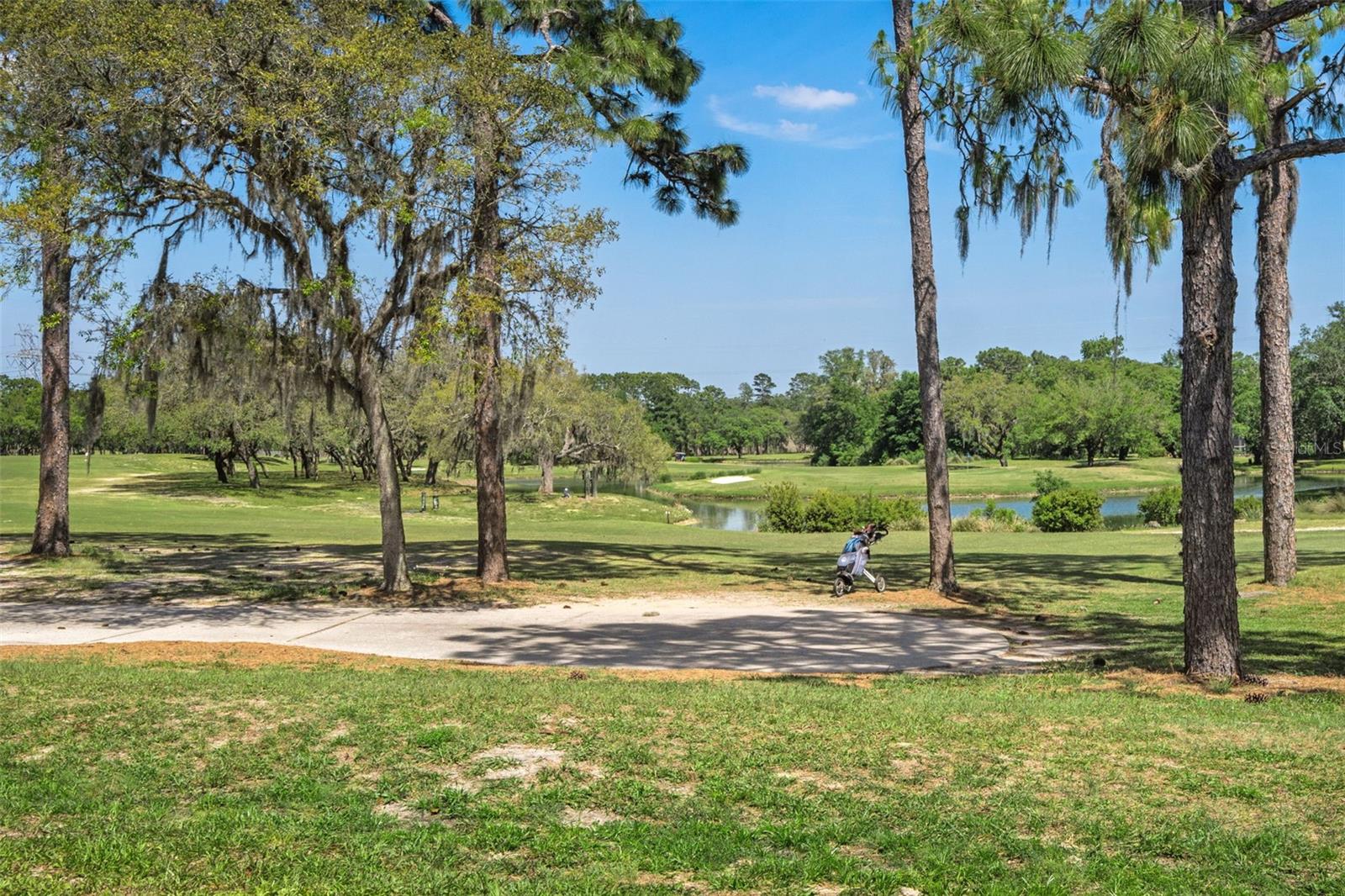 SUGARMILL WOODS CYPRESS VILLAGE - Residential