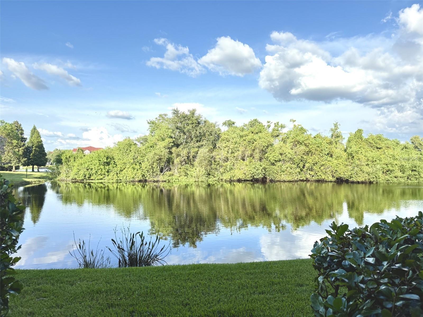 LAKE BRANDON PRCL 113 - Residential Lease