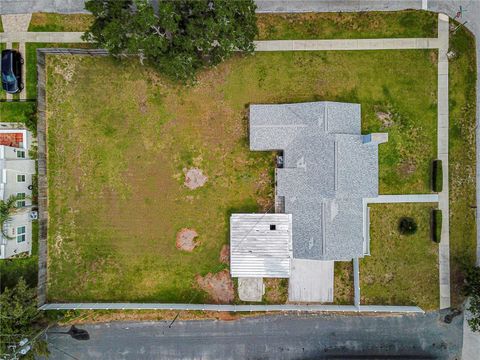 A home in MOUNT DORA