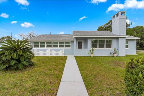 A home in MOUNT DORA