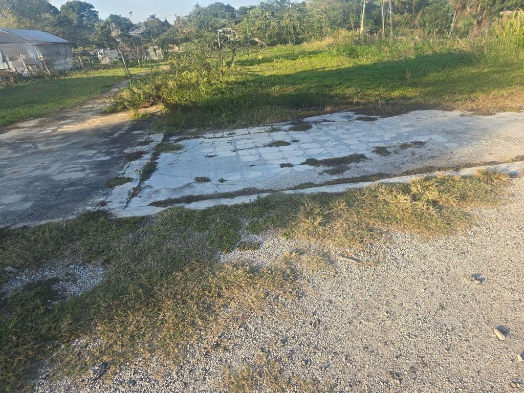 Photo of 695 W Carroll Street, Kissimmee, FL 34741 (MLS # S5138906)