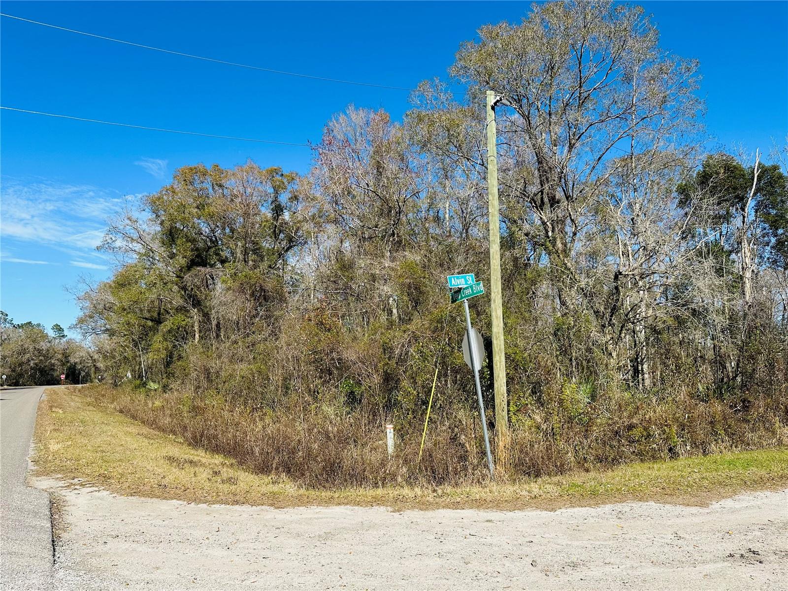 FLAGLER ESTATES UNPLATTED UNIT 3 - Land