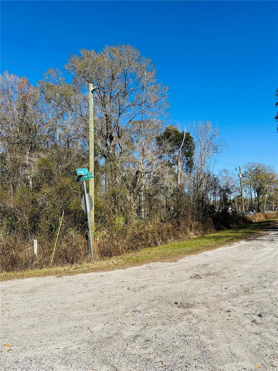 FLAGLER ESTATES UNPLATTED UNIT 3 - Land